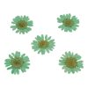 گل خشک بابونه - Image 2