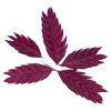 گل خشک گندمی - Image 2