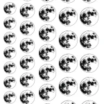 طلق ماه شب تاپ